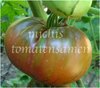 Tomate Mariannas Peace USA * rote Fleischtomate * 10 Samen