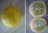 Zitronengurke True lemon, alte Sorte Australien 8 cm* 5 Samen
