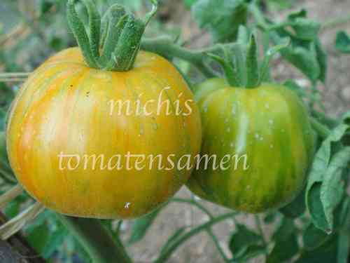 Tomate Garden Peach aus USA *gelb/rot marmoriert * 10 Samen