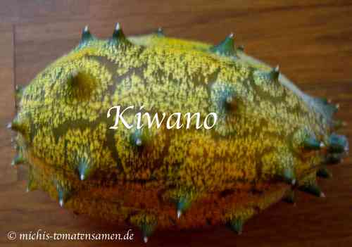 Kiwano * Horngurke * Hornmelone *cucumis metuliferus * 10 Samen