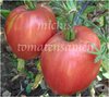 Tomate Red Strawberry* erdbeerförmige Fleischtomate rot* 10 Samen