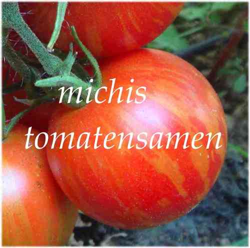 Tomate Elberta Peach * rot/orange/gelbgestreift * 100gr* 10 Samen