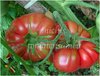 Tomate Brandywine red* Fleischtomate rot *eine der Besten* 10 Samen