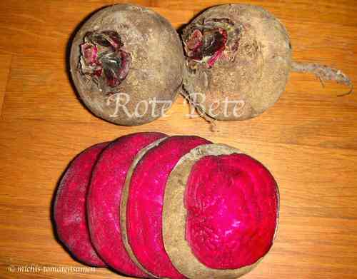 Rote Bete aus Ägypten* Rote Rübe rund dunkelrot* 25 Samen
