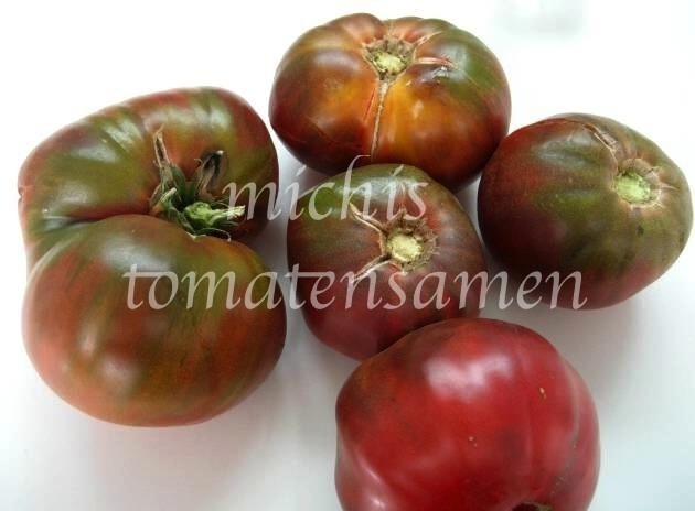 Tomate Samen schwarze Zebra Kirschtomate Tomatensamen 
