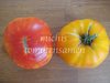 Tomate Kolb* pinke Beefsteaktomate* 10 Samen