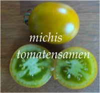 Tomaten grün