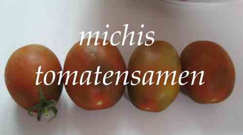 Tomate German Lunchbox * pinkrote Eiertomate * 10 Samen