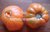 Tomate Amana Orange * Fleischtomate orange* 10 Samen