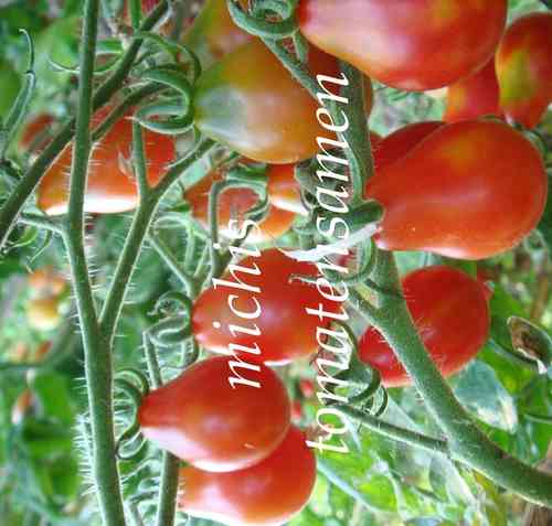 Tomate Red Fig alte Sorte * Minitomate birnenförmig rot* 10 Samen