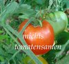 Tomate Moneymaker* Heirloom* aus England* hitzeresistent* 10 Samen