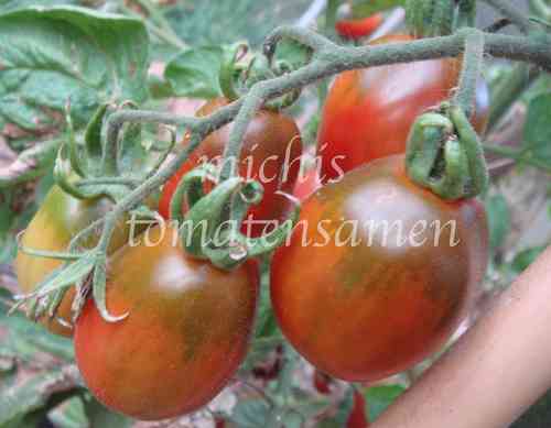Tomate Black Truffle* Spitzensorte schwarz* krankheitsresistent*10 Samen