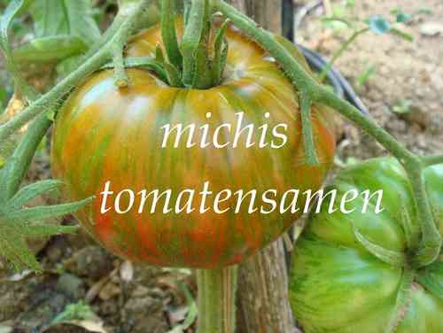 Tomate Chocolate Stripes *orange mit grünen Streifen* 10 Samen