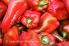 Pepper Piquillo aus Spanien* rote Paprika* süß* 10 Samen