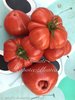 Tomate Zapotec Pleated aus Mexiko* gerippt rot mildfruchtig* 10 Samen
