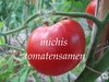 Tomate Sibirian aus Russland* frühe Sorte* sehr kälteresistent 10 Samen