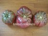 Tomate Aunt Ginny` s Purple*  Heirloom Stabtomate* 10 Samen