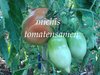 Tomate Spitze aus Rumänien rot * Heirloomsorte* 10 Samen