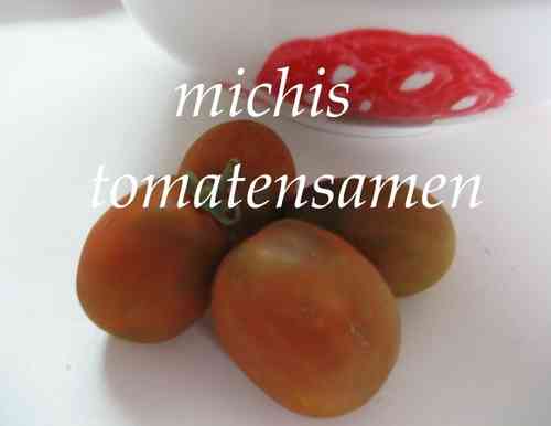 Eiertomate* rote Tomate eigener Anbau * 10 Samen