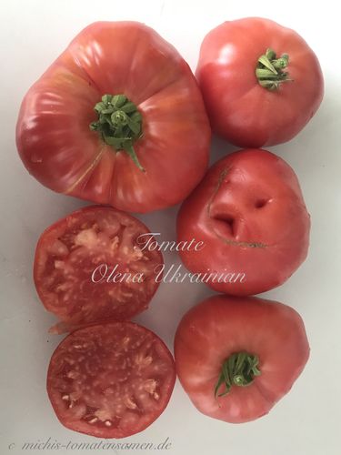 Tomate Olena Ukrainian * Heirloom Sorte aus der Ukraine* 10 Samen
