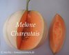 Melone Charentais * alte Sorte aus Frankreich* 10 Samen