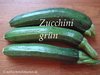 Zucchini grün* Spezialität aus Spanien* 5 Samen