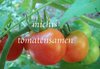 Tomate Manalucie* hitzetolerant krankheitsresistent* 10 Samen