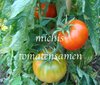 Tomate Sub-Arctic Plenty* frühe kälteresistente Sorte* 10 Samen
