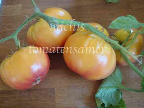Tomate Striped German* marmoriert gelb/rot* 10 Samen