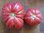 Tomate Akers West Virginia* Heirloom Fleischtomate rot* 10 Samen