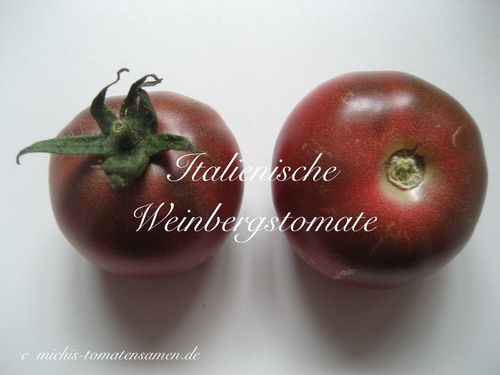 Weinberg-Tomate aus Italien* dunkelgestreift* eigener Anbau*10 Samen