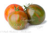 Tomate Black Vernissage* gestreift oval Mini* 10 samen
