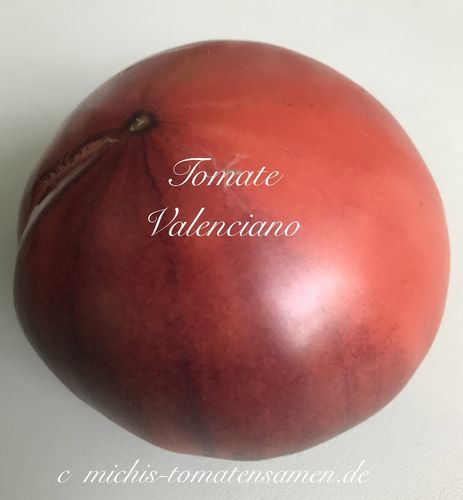 Tomate Valenciano aus Spanien* herzförmig zweifarbig* 10 Samen
