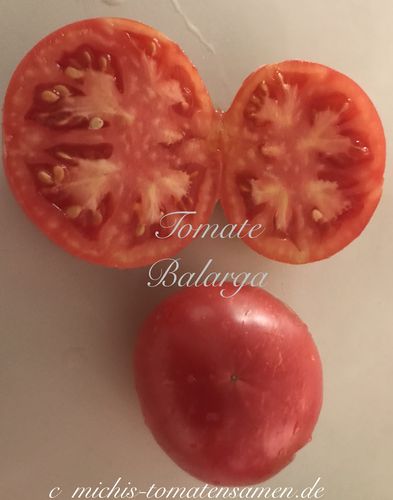 Tomate Balarga aus Spanien* 250gr* krankheitsresistent* 10 Samen