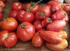 Tomaten-Mix* diverse Tomaten rot gelb schwarz* 25 Samen