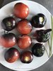 Tomate Indigo Rose* schwarzrot * 10 Samen