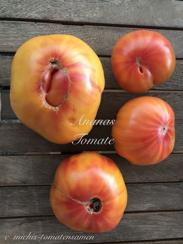 Tomate Ananas* Fleischtomate gelborangerotgestreift* 10 Samen